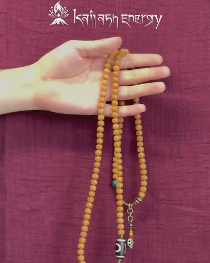 Wisdom Focus Bracelet | Bodhi Seed and Dzi Bead Bracelet for Concentration and Spiritual Insight