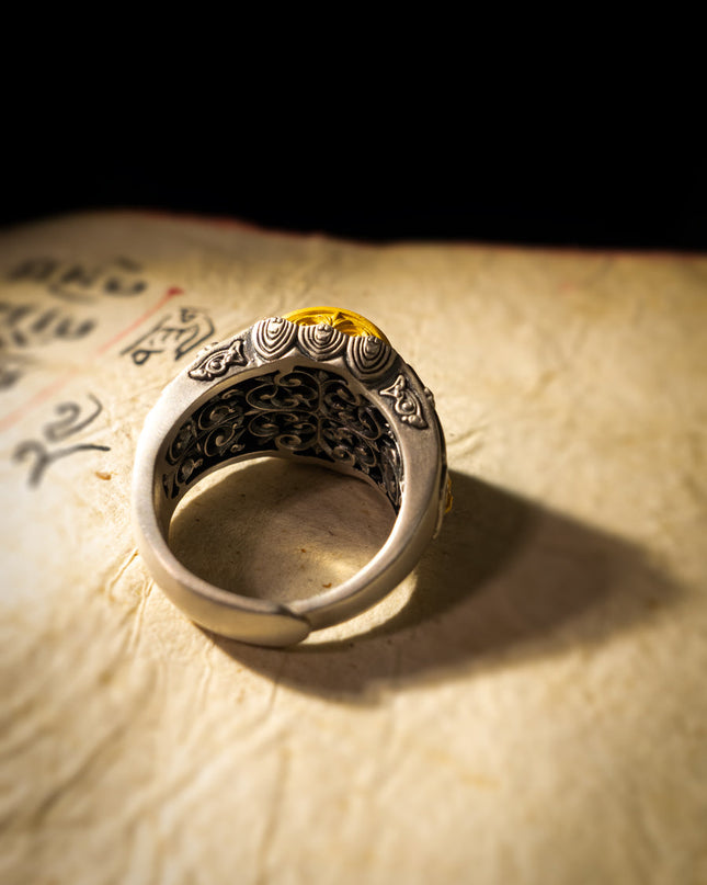 Protective Energy Dzi Tibetan Treasures Rings