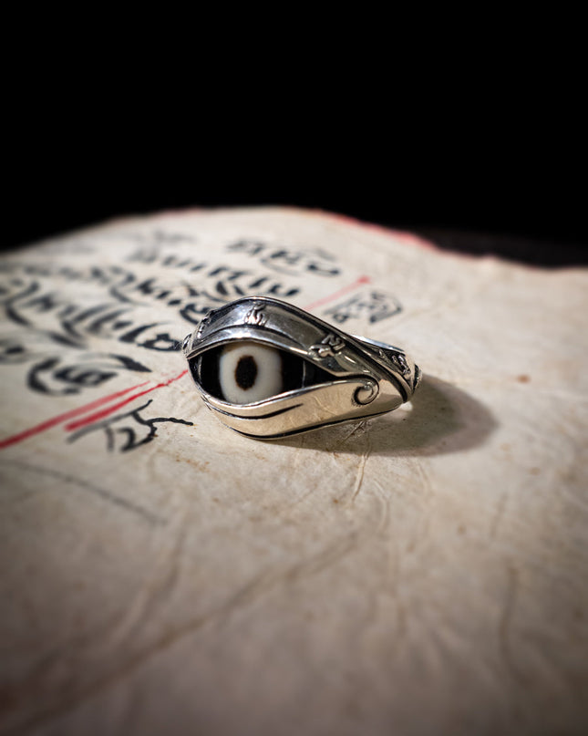 Eye of Protection Dzi Agate & 925 Silver Ring