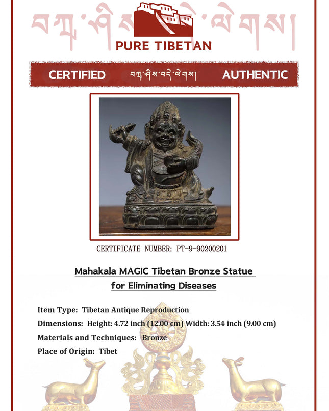 Mahakala MAGIC Tibetan Bronze Statue for Eliminating Diseases