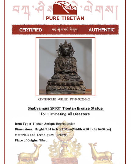 Shakyamuni SPIRIT Tibetan Bronze Statue for Eliminating All Disasters