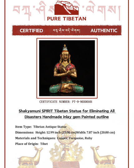 Shakyamuni SPIRIT Tibetan Statue for Eliminating All Disasters  Handmade inlay gem Painted outline