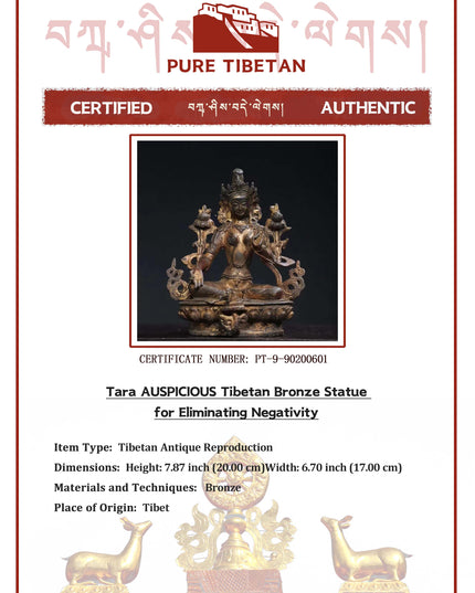 Tara AUSPICIOUS Tibetan Bronze Statue for Eliminating Negativity
