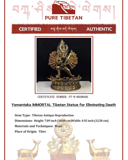 Yamantaka IMMORTAL Tibetan Statue for Eliminating Senescence